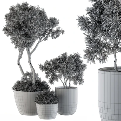 Outdoor Plants Tree in pot - Set 90 — Вид 3
