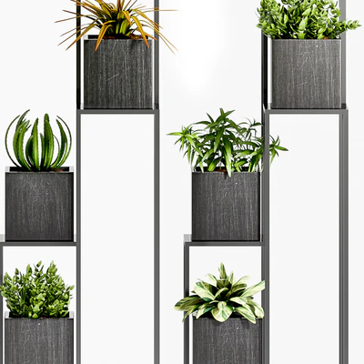 PLANT -33 — Ver 2