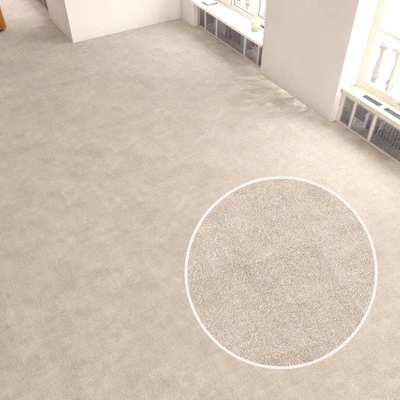carpet covering 154 — Ver 1