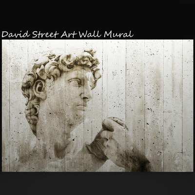 David Street Art Wall Mural, david, mural, painting, concrete, wall — Ver 1