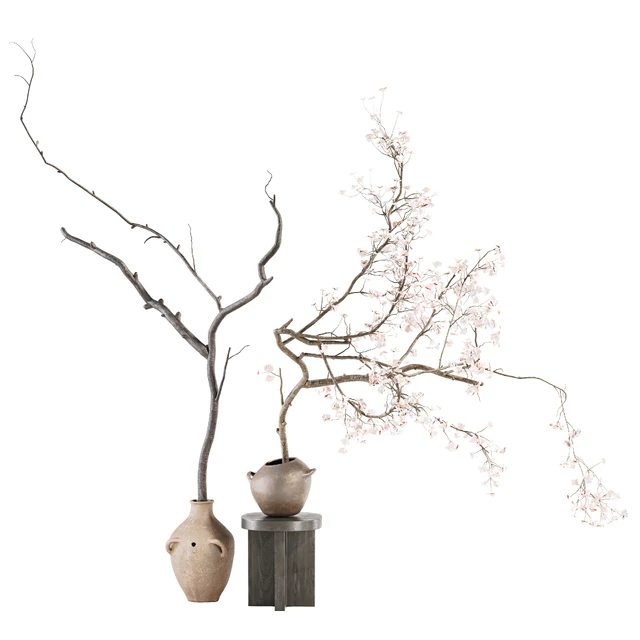 Indoor Plant 03 — Descargar