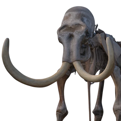 Mammoth skeleton — Ver 2