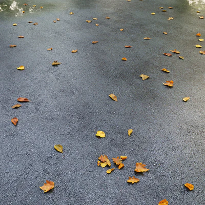 Wet asphalt with leaves. Autumn. Editable — Ver 6