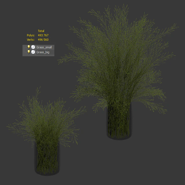 Grass in vases 2 — Descargar