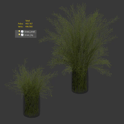 Grass in vases 2 — Ver 2