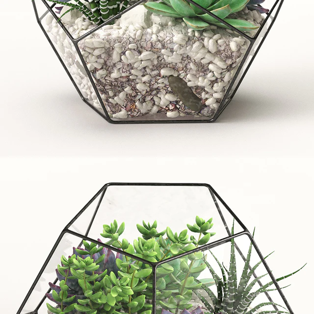 Florarium (Competition) — Descargar