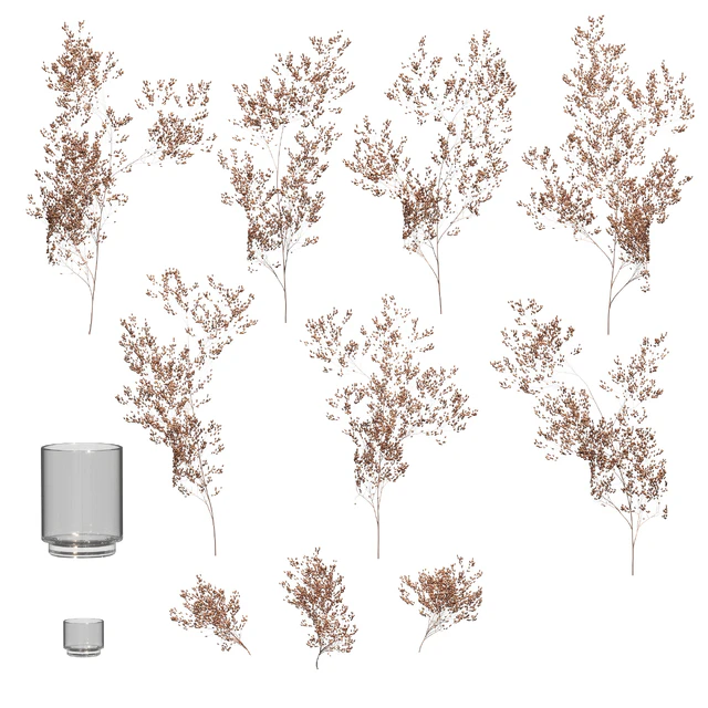 Dry plants set. 3 models — Descargar