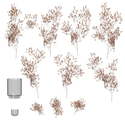 Dry plants set. 3 models — Ver 3