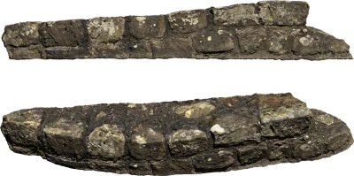 mossy castle wall 001 — Descargar