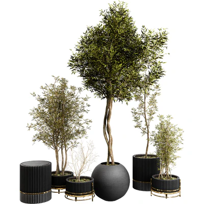 Plant Collection Set 03 — Ver 1