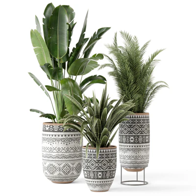 Indoor Plants  in rusty Concrete Pot - Set 628 — Вид 6
