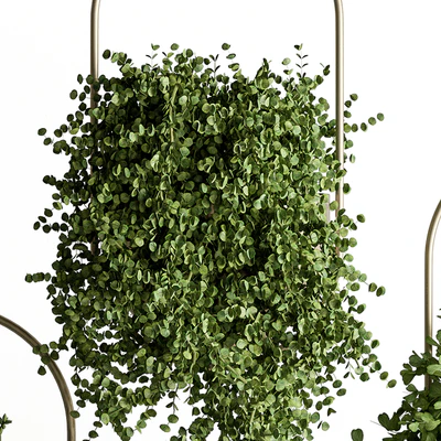 indoor Plant Set 410 - Hanging Plants — Ver 5
