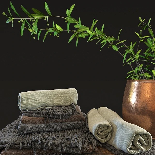Olive set — Скачать