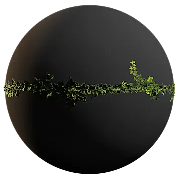ivy 011 — Скачать