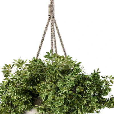 Hanging box plant - Set 82 — Ver 2