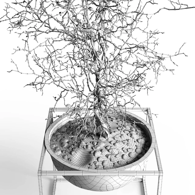 Branching tree — Descargar