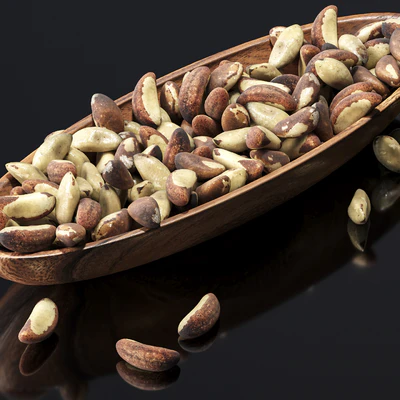 Brazilian nut — Ver 4