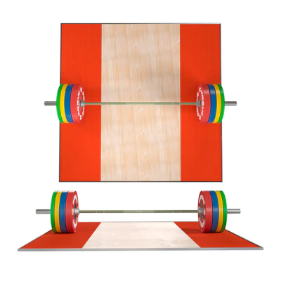 Rogue Operator Bar 3.0 vs plates — View 3