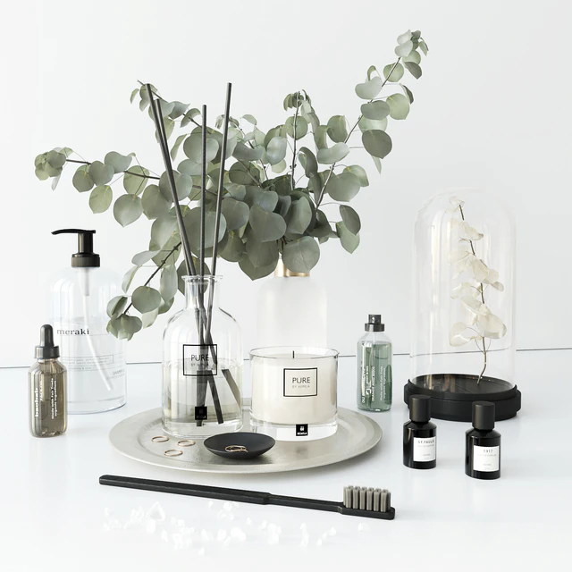 Bathroom set with eucalyptus — Download