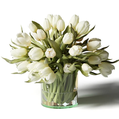 Yellow, red and white tulips in glass vases — Ver 3