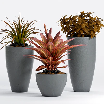 PLANT -17 — Ver 1