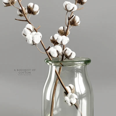 A bouquet of cotton — Ver 3