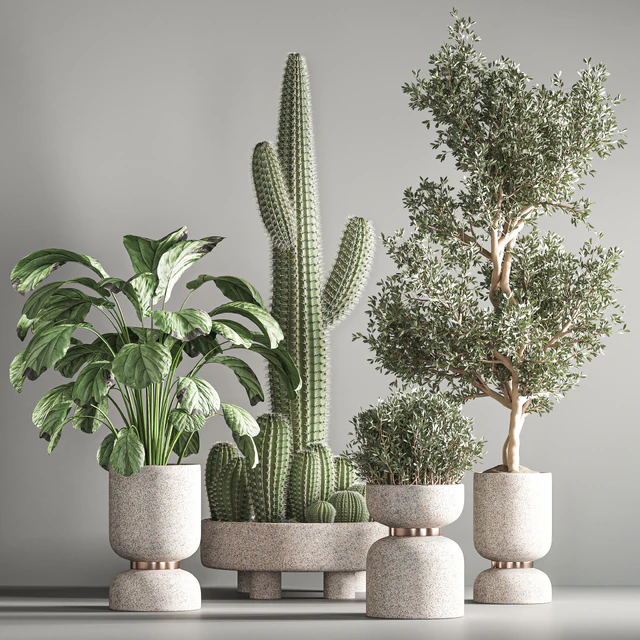 indoor plant set21 — Скачать