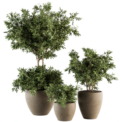 Outdoor Plant Set 203 - Plant and Tree in Pot — Ver 1