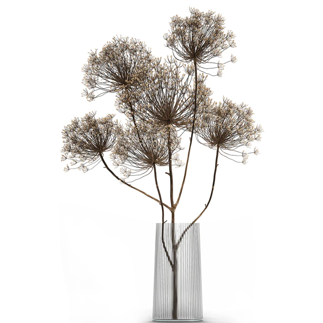 Bouquet of dried flowers in a glass vase with dry branches Hogweed . 158. — Descargar