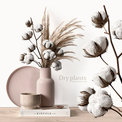 Decorative set with dry plants 5 — Вид 1