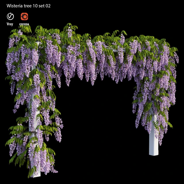 wisterial tree 10 set 02 — Descargar