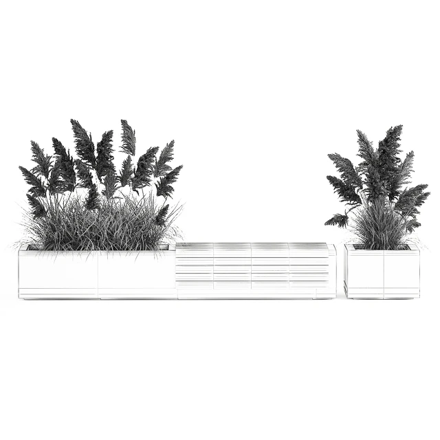 Bench flowerbed for the urban environment in a concrete flowerpot with bushes of reeds and pampas grass, Cortaderia. 1144. — Descargar