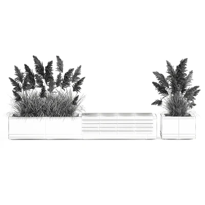 Bench flowerbed for the urban environment in a concrete flowerpot with bushes of reeds and pampas grass, Cortaderia. 1144. — Ver 6