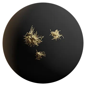 dry grass 003 — Descargar