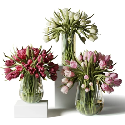 Red, pink and white tulips in glass vases — Ver 1
