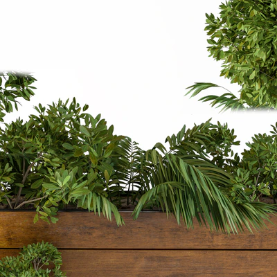 Outdoor Plants-Flower Box 2 — Ver 3