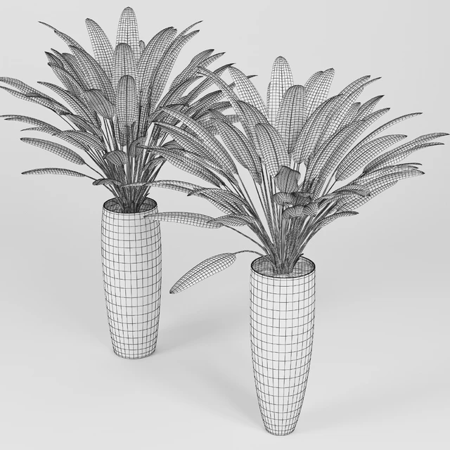 Tropical 3 — Descargar