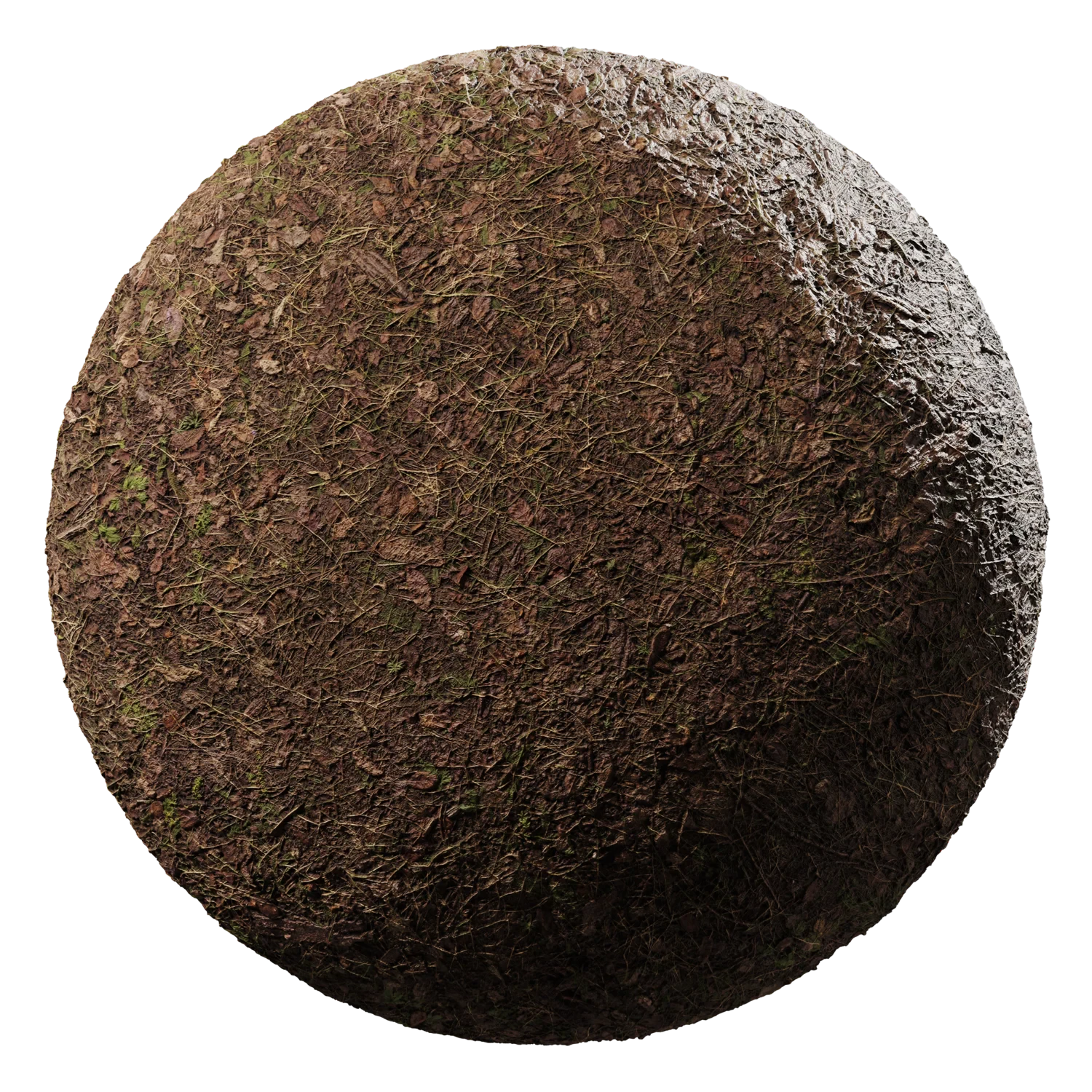 dirt forest 002 — Descargar