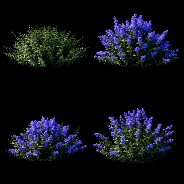 Fassen's Catcher | Nepeta fassenii # 2 — Descargar