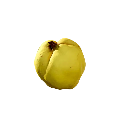 food fruit quince fresh 001 — Descargar