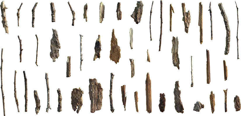 forest debris 002 — Скачать