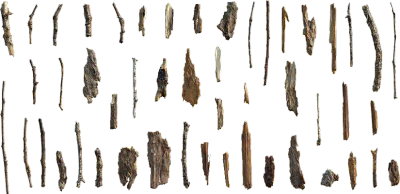 forest debris 002 — Скачать