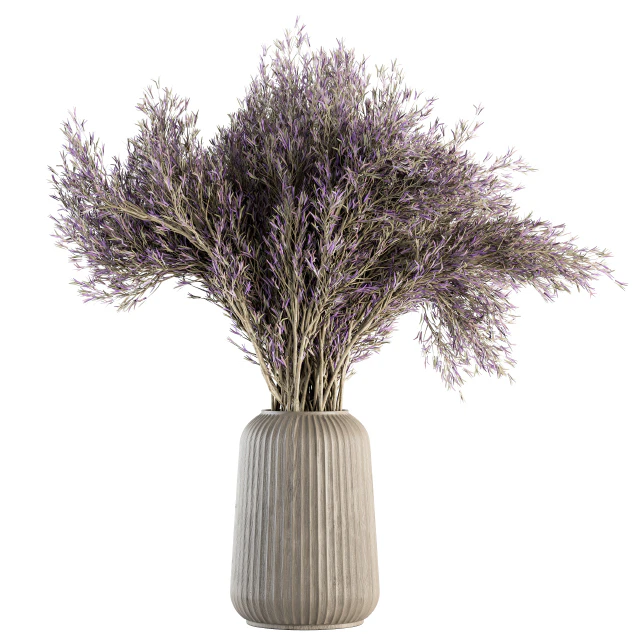 Dry plants 67 - Dried Lavender — Descargar