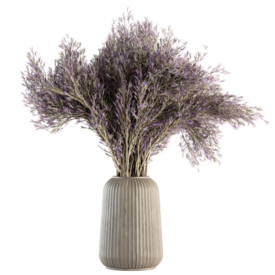Dry plants 67 - Dried Lavender — Ver 1