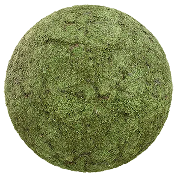 mossy ground 003 — Descargar