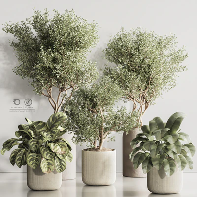Indoor Plant Set 121 — Вид 1