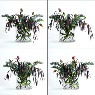 Tulips &amp; Co — Ver 2