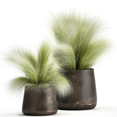Collection of plants of fluffy bushes in outdoor pots Grass grass, hummock. Set 908. — Ver 1
