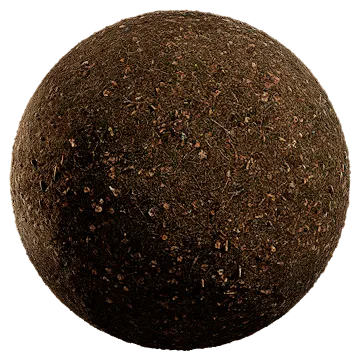 nordic forest ground pine modd coarse 001 — Descargar