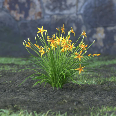 garden flowers 056 — Скачать